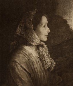 Alfred Lord Tennyson的妻子Emily Selwood（1809-92） 作者 英语学校
